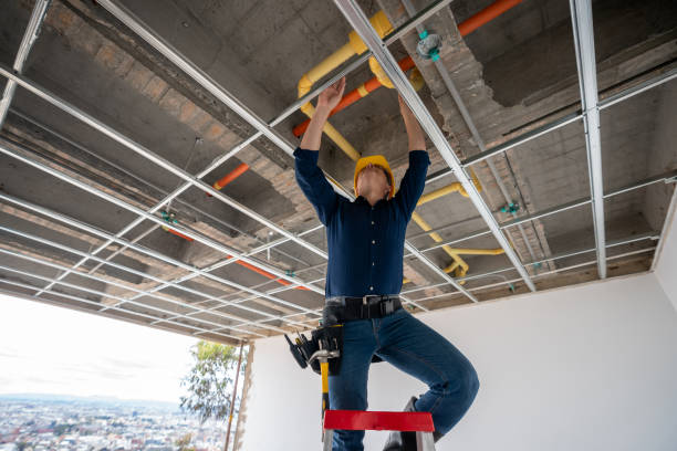 Best Plumbing Services Near Me  in Ofallon, MO