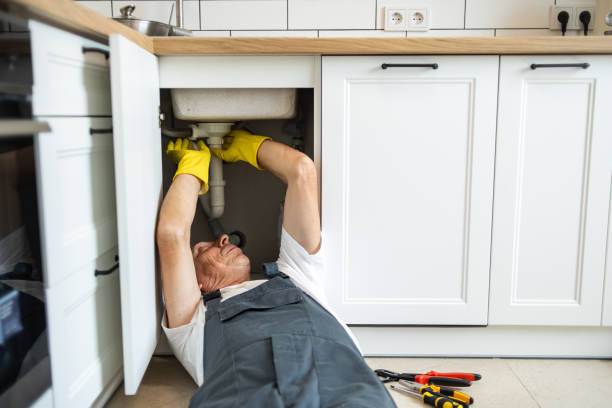 Best Commercial Plumbing Services  in Ofallon, MO